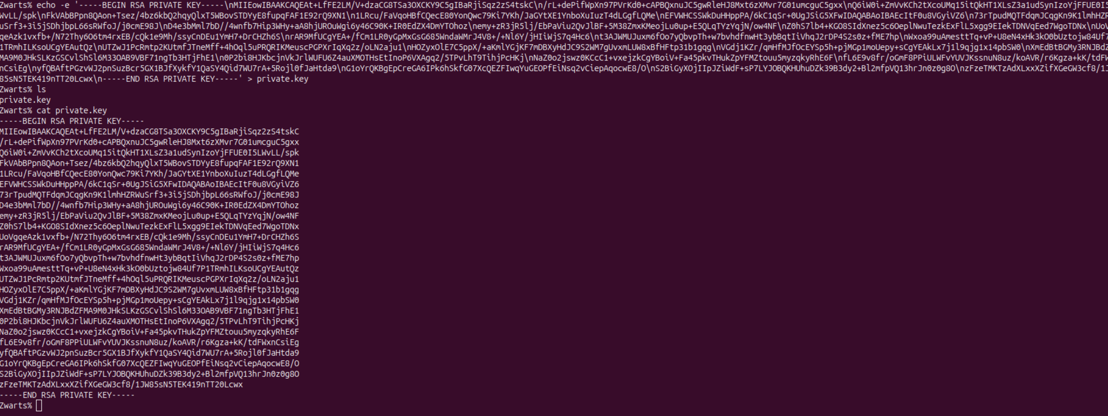 Private key formatted and saved