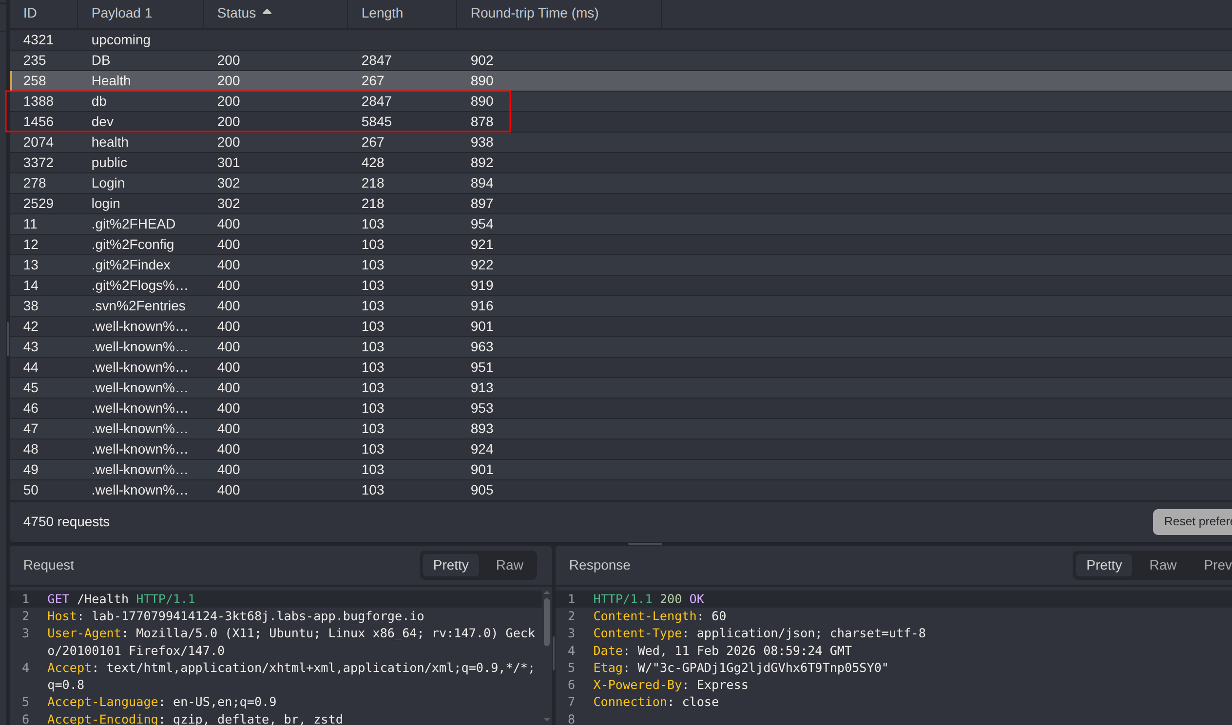 Fuzzing Results